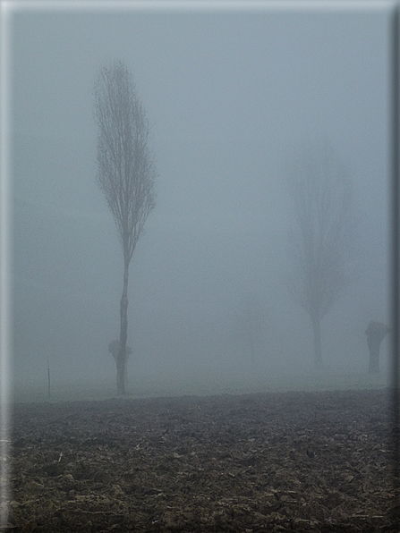 foto Pedemontana Veneta nella nebbia